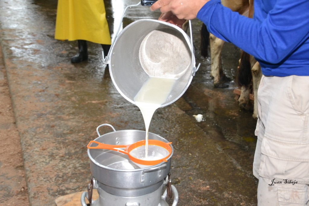 Foto: Freddo Leche Tours - Poasito (Alajuela), Costa Rica