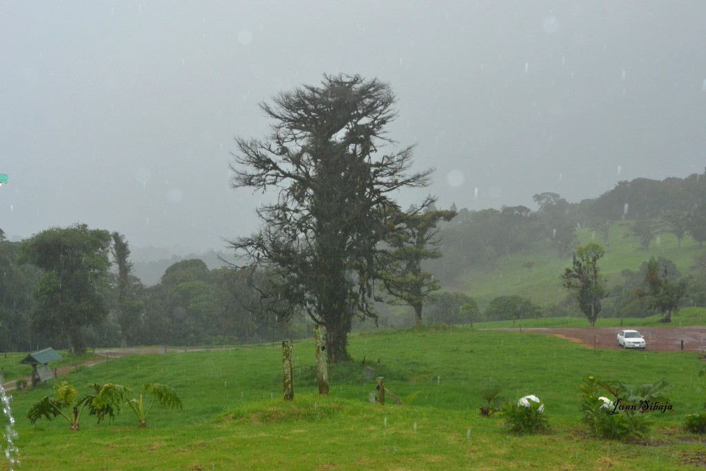 Foto: Freddo Leche Tours - Poasito (Alajuela), Costa Rica