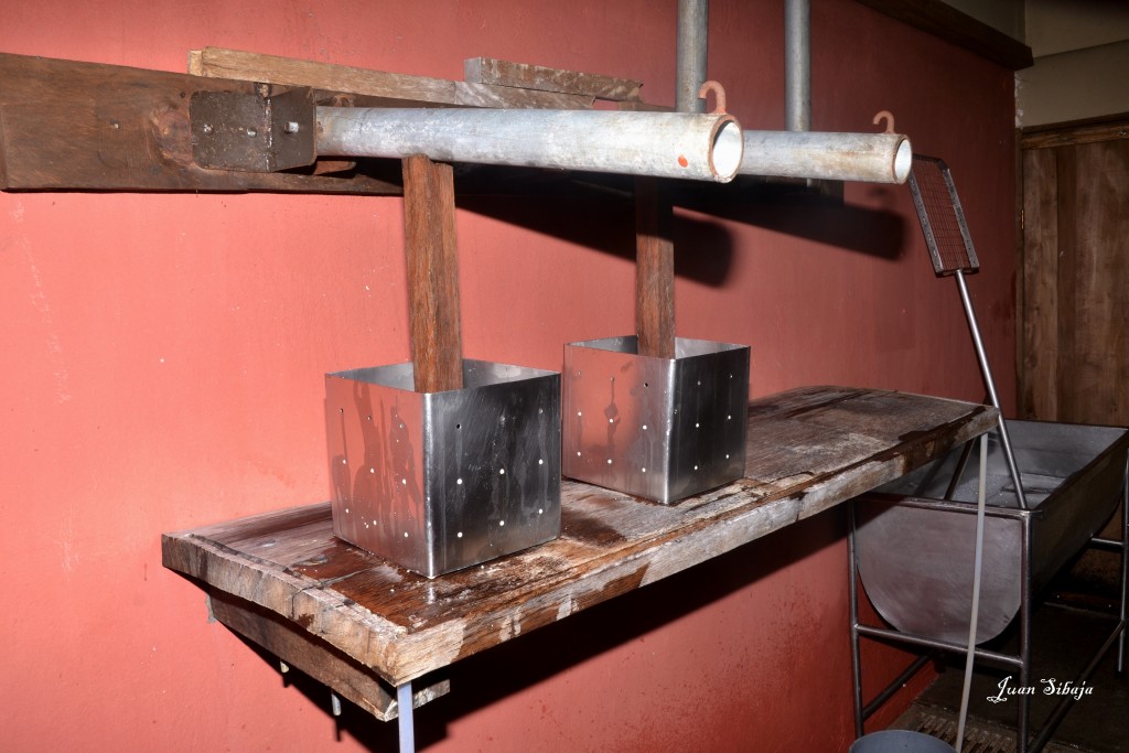 Foto: Freddo Leche Tours - Poasito (Alajuela), Costa Rica