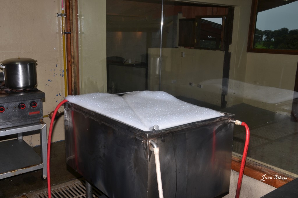 Foto: Freddo Leche Tours - Poasito (Alajuela), Costa Rica