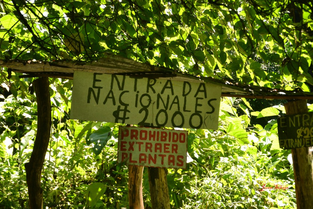 Foto: Chorros de Tacares de Grecia - Tacares (Alajuela), Costa Rica