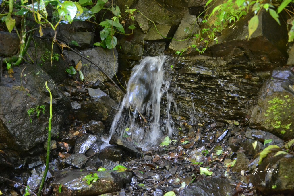 Foto: Chorros de Tacares de Grecia - Tacares (Alajuela), Costa Rica