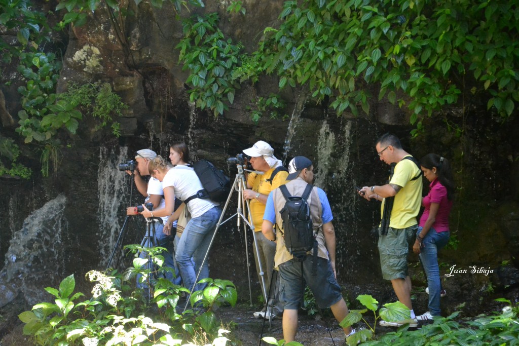 Foto: Chorros de Tacares de Grecia - Tacares (Alajuela), Costa Rica