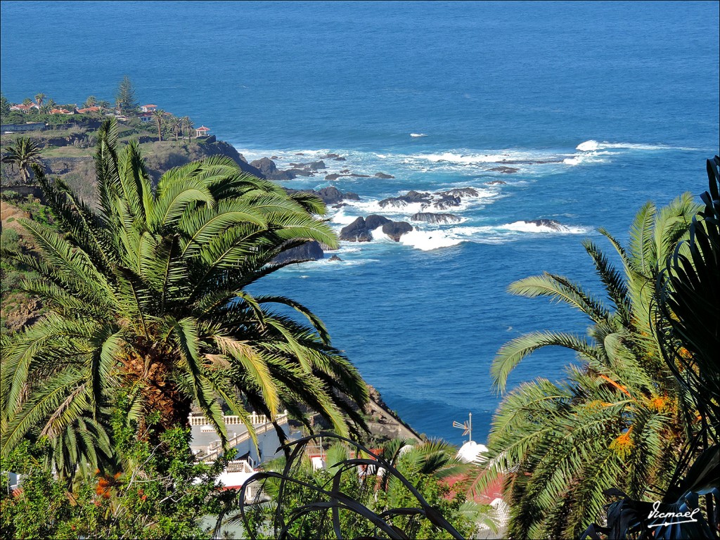 Foto: 131218-14 LOS REALEJOS - Los Realejos (Santa Cruz de Tenerife), España