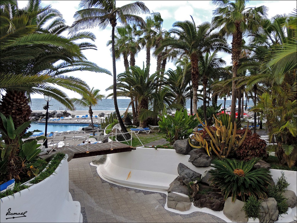 Foto: 131218-26 PUERTO DE LA CRUZ - Puerto De La Cruz (Santa Cruz de Tenerife), España