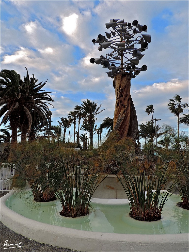 Foto: 131218-29 PUERTO DE LA CRUZ - Puerto De La Cruz (Santa Cruz de Tenerife), España