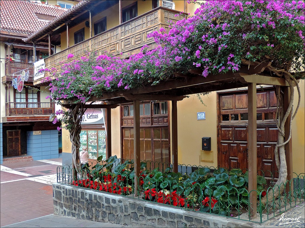 Foto: 131218-61 PUERTO DE LA CRUZ - Puerto De La Cruz (Santa Cruz de Tenerife), España