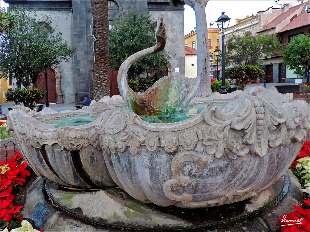 Foto: 131218-62 PUERTO DE LA CRUZ - Puerto De La Cruz (Santa Cruz de Tenerife), España