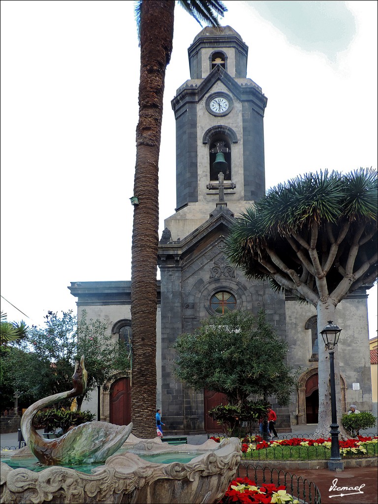Foto: 131218-63 PUERTO DE LA CRUZ - Puerto De La Cruz (Santa Cruz de Tenerife), España