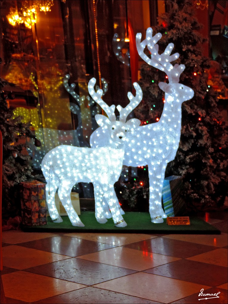 Foto: 131218-77 PUERTO DE LA CRUZ - Puerto De La Cruz (Santa Cruz de Tenerife), España