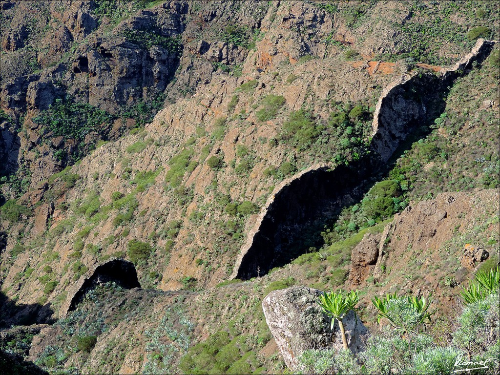 Foto: 131219-35 EXCURSION A MASCA - Masca (Santa Cruz de Tenerife), España