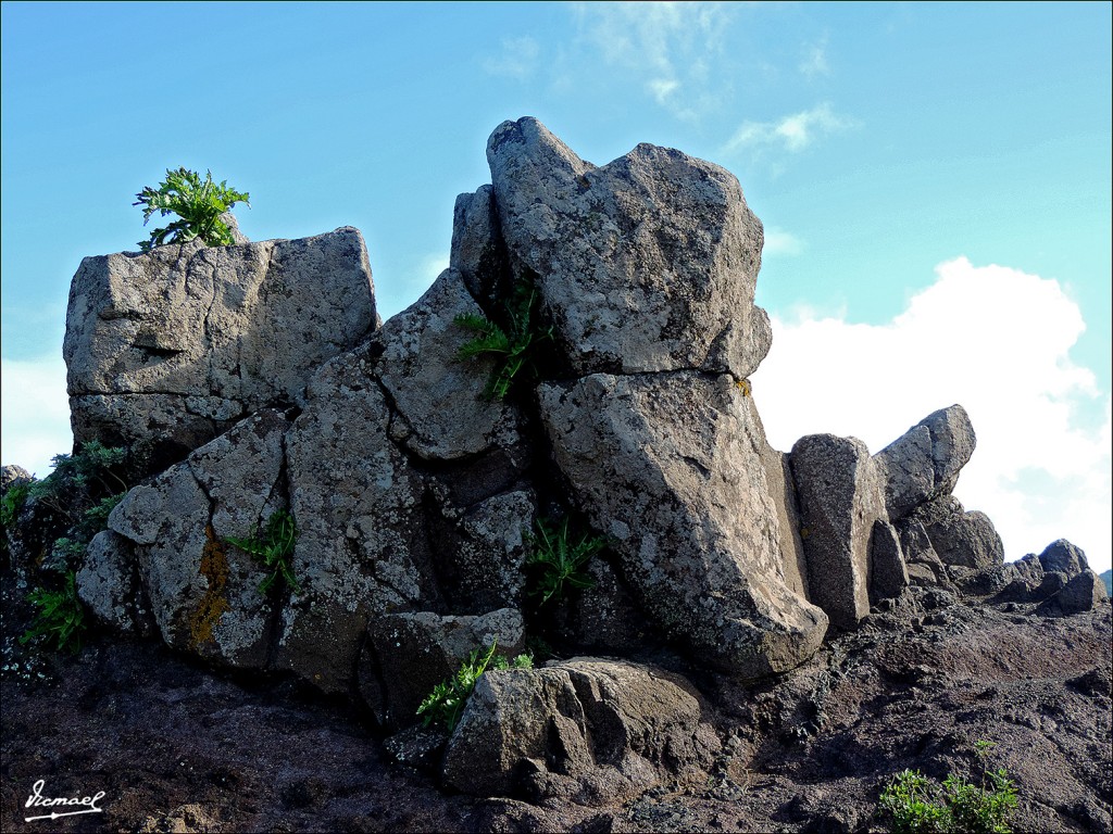Foto: 131219-42 EXCURSION A MASCA - Masca (Santa Cruz de Tenerife), España