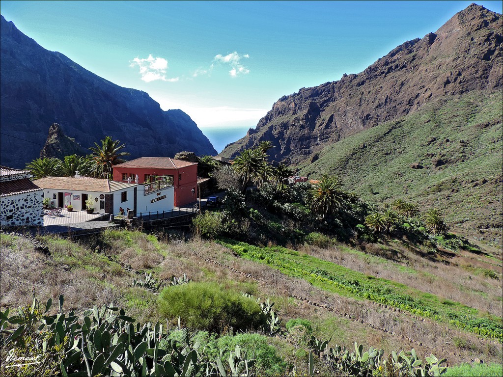 Foto: 131219-55 EXCURSION A MASCA - Masca (Santa Cruz de Tenerife), España