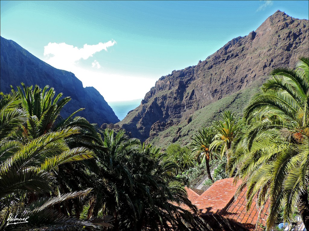 Foto: 131219-60 EXCURSION A MASCA - Masca (Santa Cruz de Tenerife), España