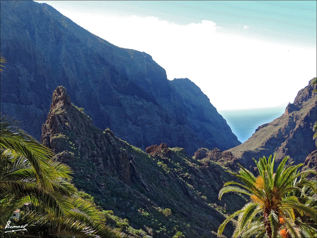 Foto: 131219-62 EXCURSION A MASCA - Masca (Santa Cruz de Tenerife), España