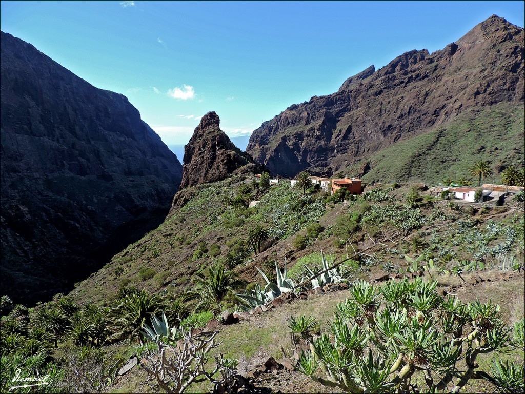 Foto: 131219-68 EXCURSION A MASCA - Masca (Santa Cruz de Tenerife), España