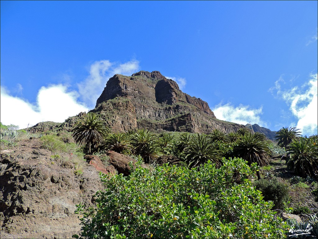 Foto: 131219-70 EXCURSION A MASCA - Masca (Santa Cruz de Tenerife), España