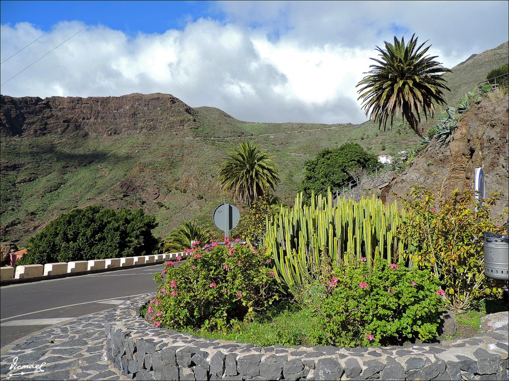 Foto: 131219-75 EXCURSION A MASCA - Masca (Santa Cruz de Tenerife), España