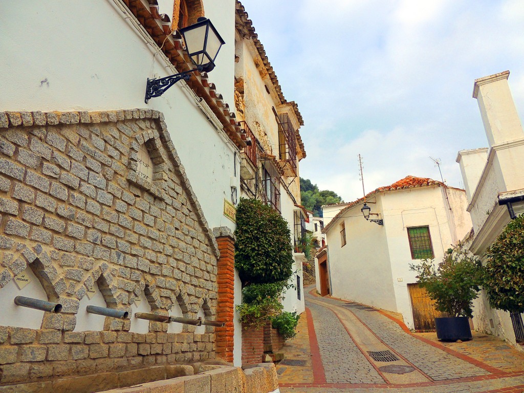 Foto: Fuente Grande - Benalauría (Málaga), España