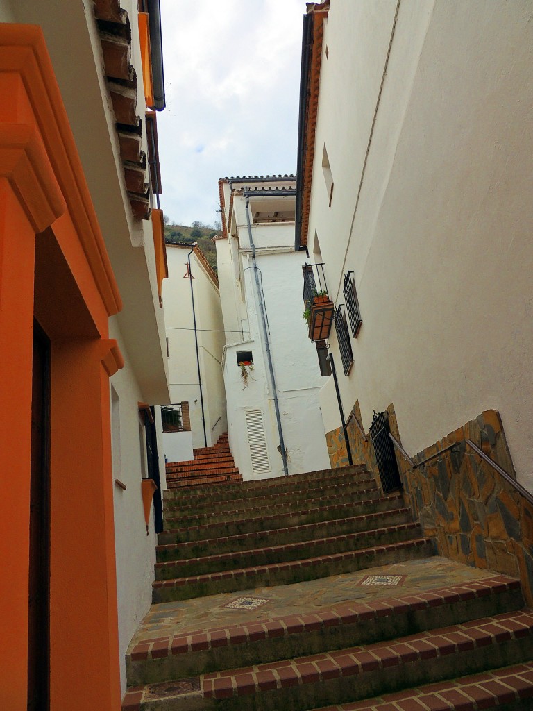 Foto: Pasaje del Maestro D.Francisco Castillo - Benalauría (Málaga), España