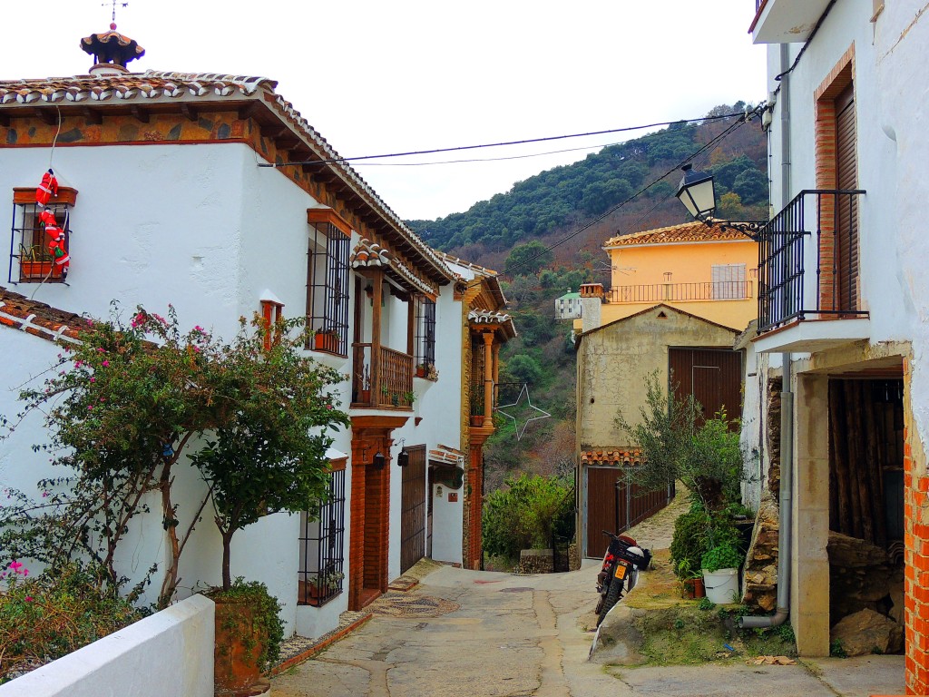 Foto: Calle La Ladera - Benalauría (Málaga), España