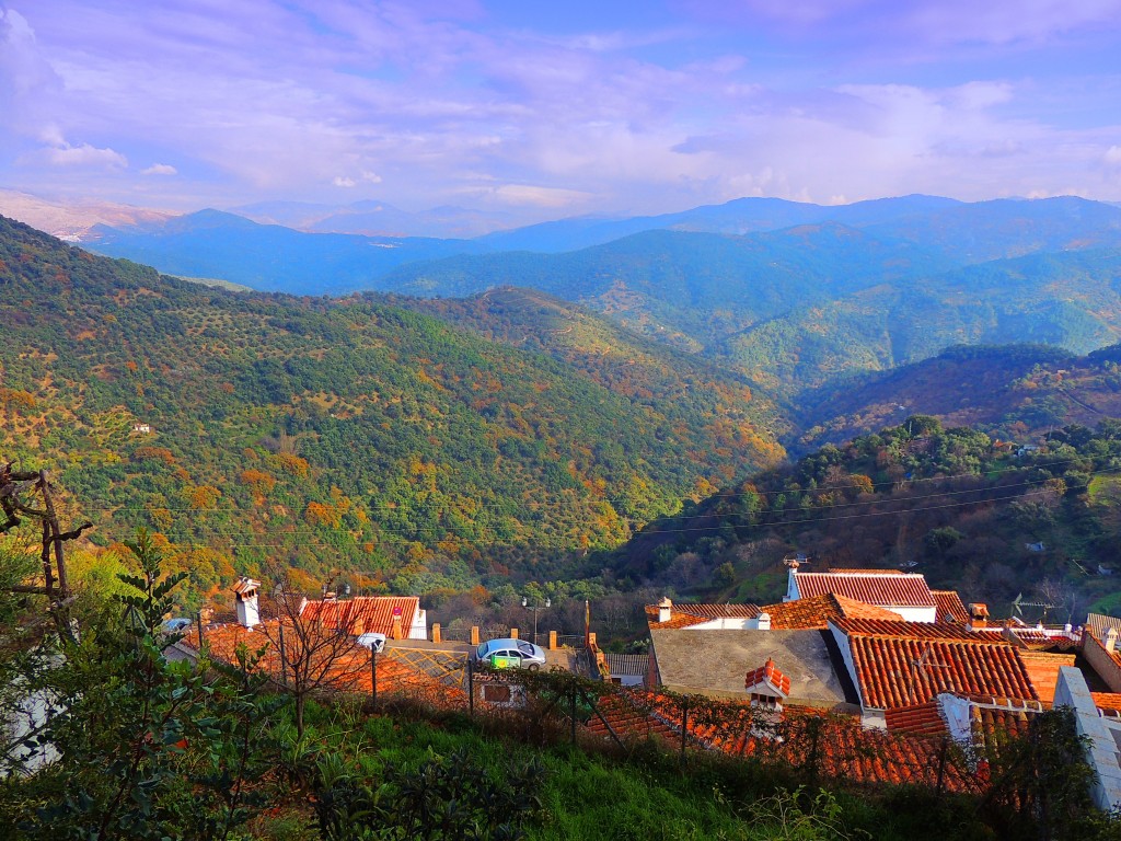 Foto: En la Sierra de Ronda - Benalauría (Málaga), España