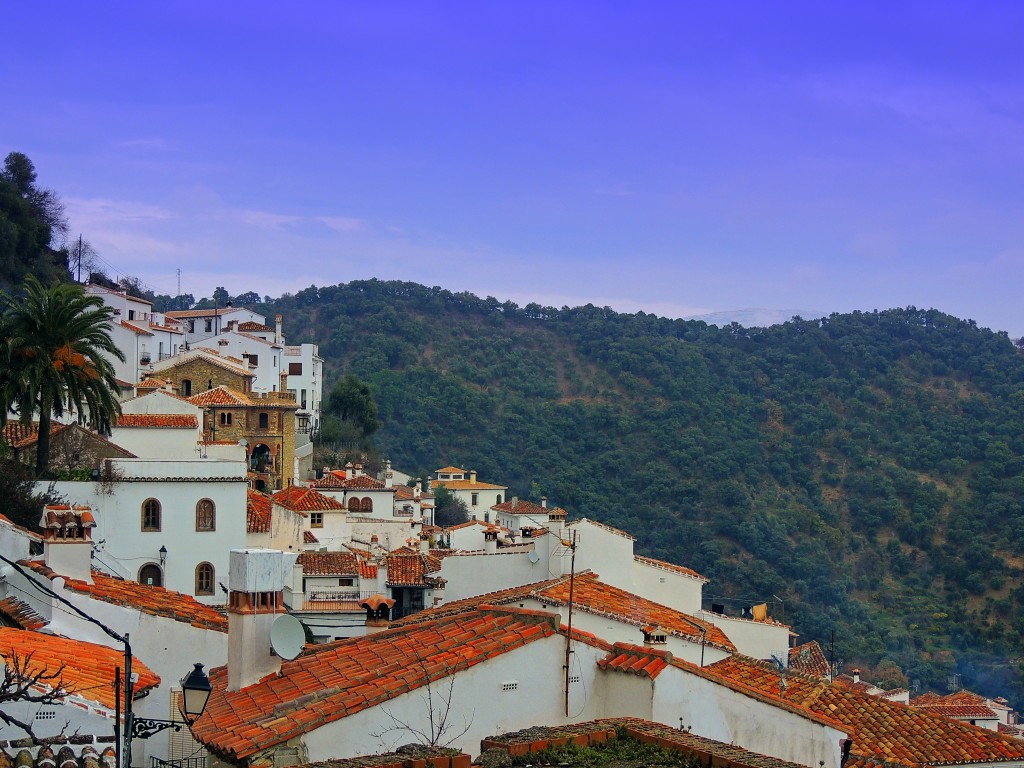 Foto: Panorámica de Benalauría - Benalauría (Málaga), España