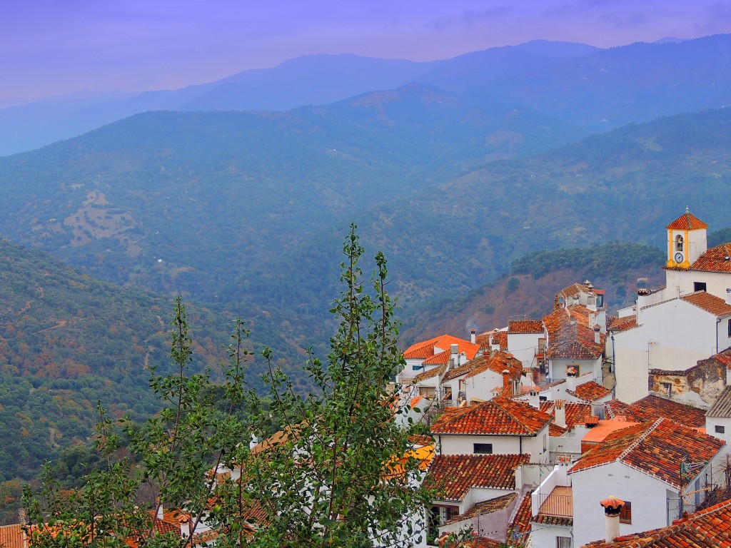 Foto: Vistas de Benalauría - Benalauría (Málaga), España