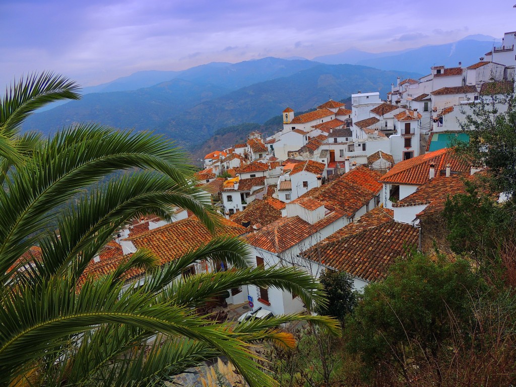 Foto: Vista de Benalauría - Benalauría (Málaga), España