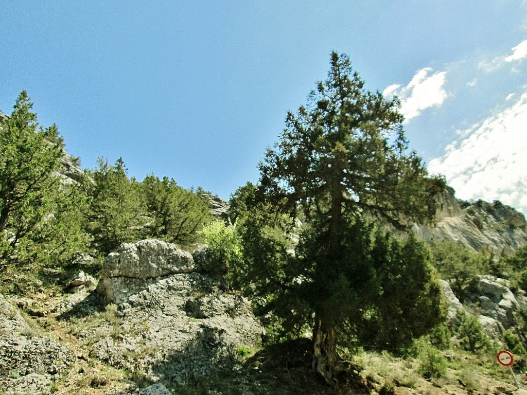 Foto: Paisaje - Santo Domingo de Silos (Burgos), España