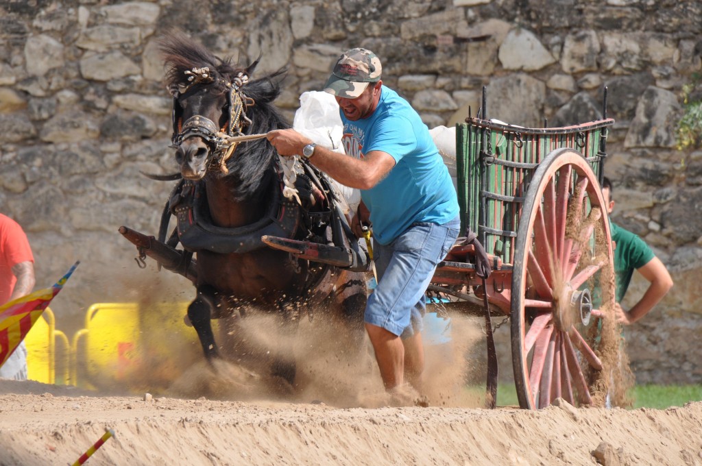 Foto: Tiro y arrastre - Valencia (València), España