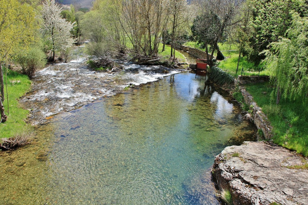 Foto: Rio Pedroso - Barbadillo de Herreros (Burgos), España