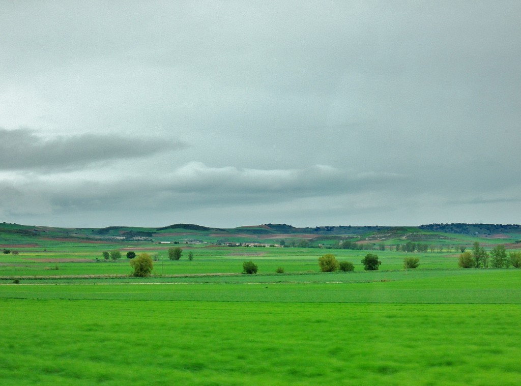 Foto: Paisaje - Pampliega (Burgos), España
