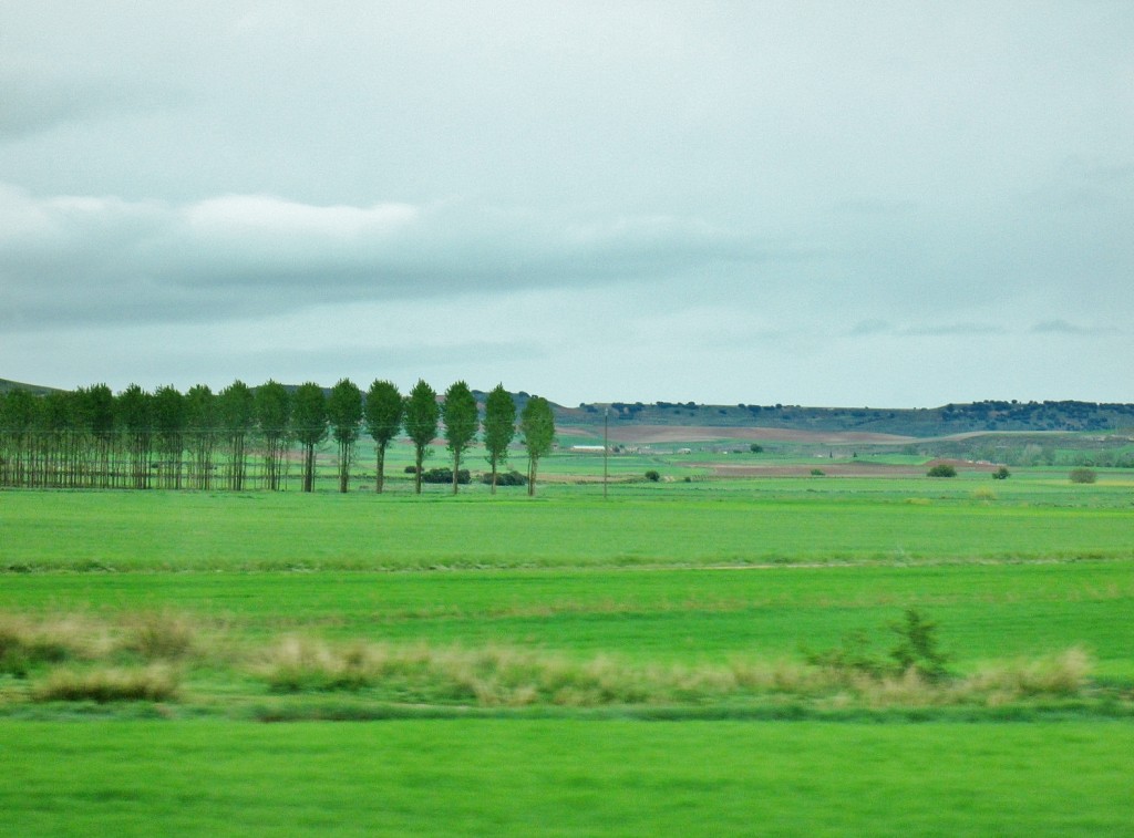 Foto: Paisaje - Pampliega (Burgos), España