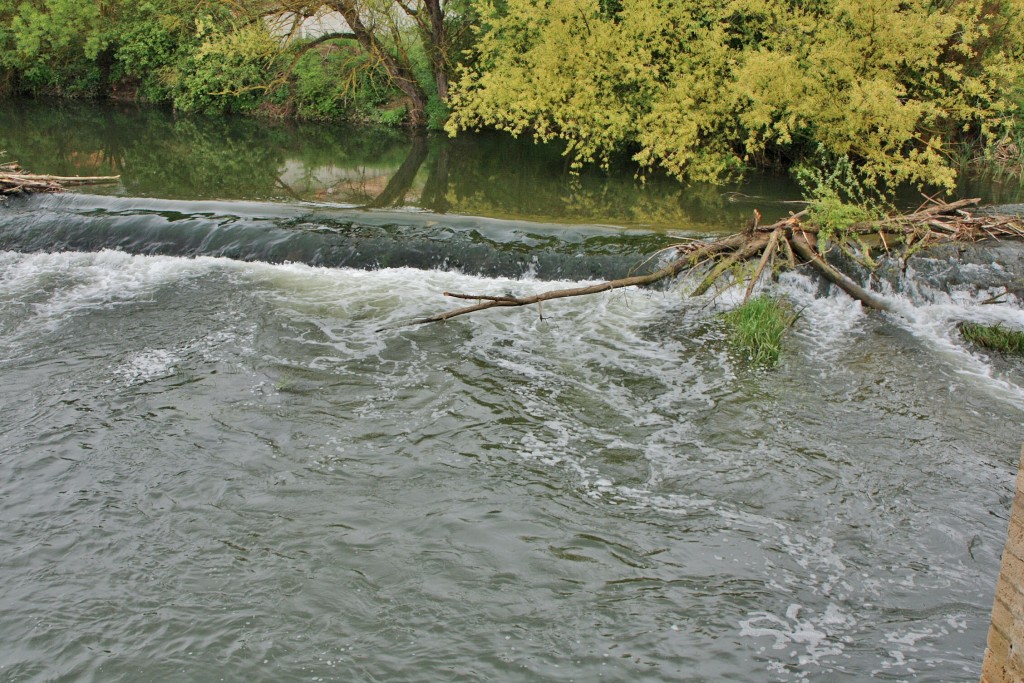 Foto: Rio Arlanzón - Pampliega (Burgos), España