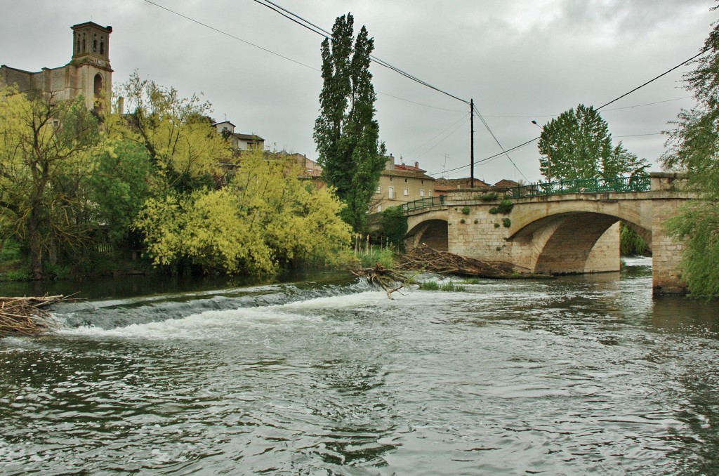 Foto: Rio Arlanzón - Pampliega (Burgos), España