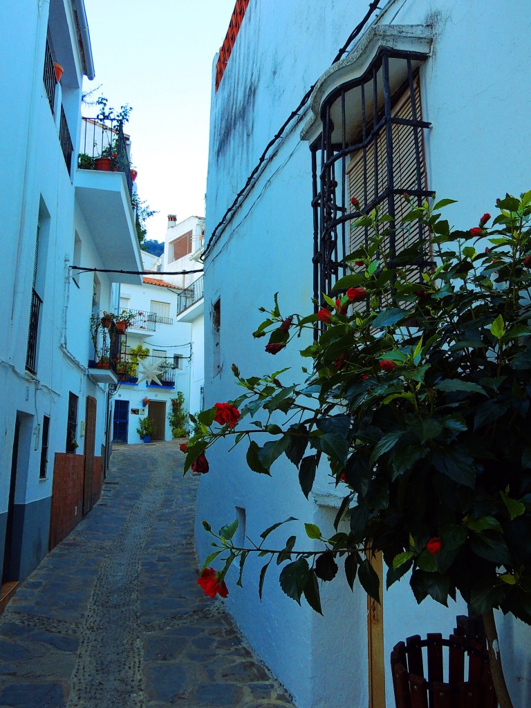 Foto: Rincones - Genalguacil (Málaga), España