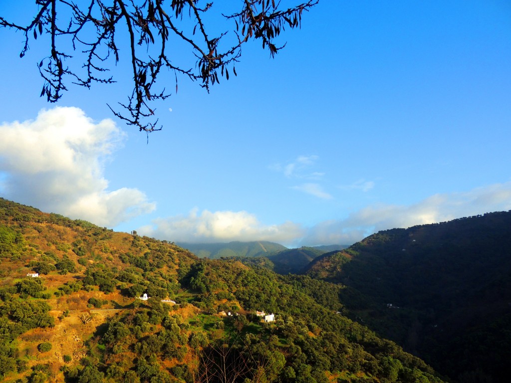 Foto de Jubrique (Málaga), España
