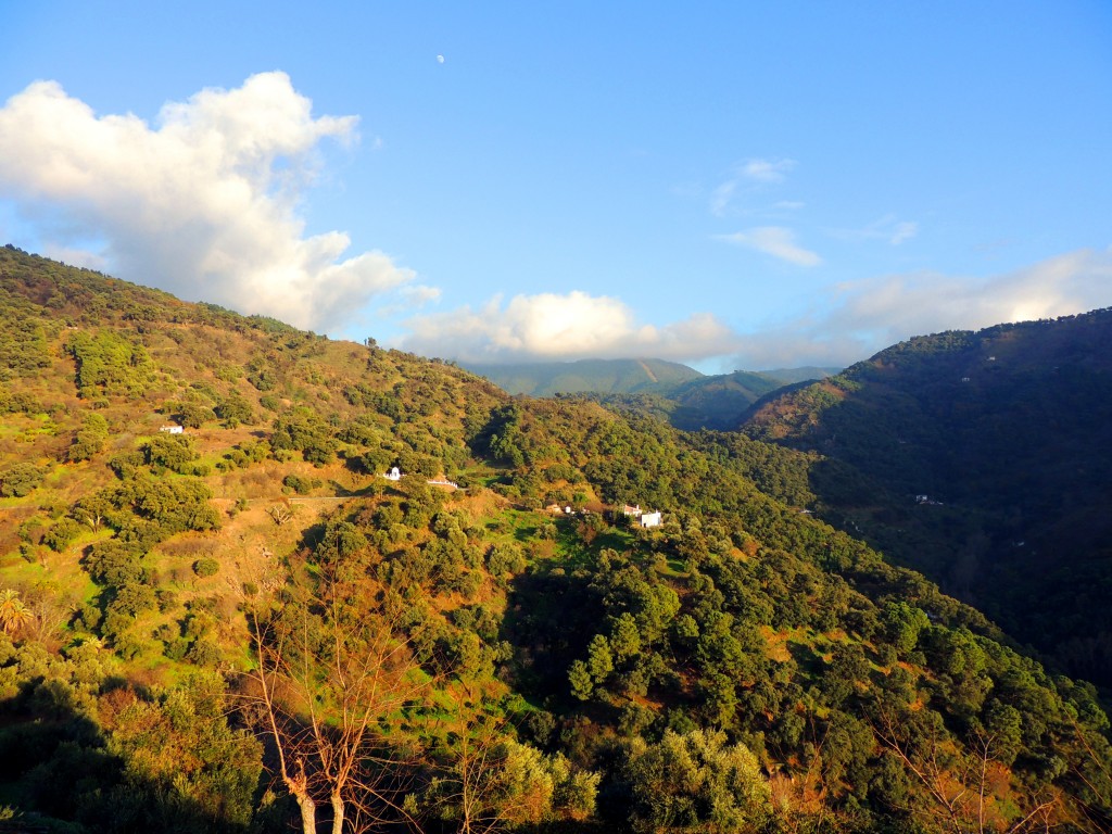 Foto de Jubrique (Málaga), España