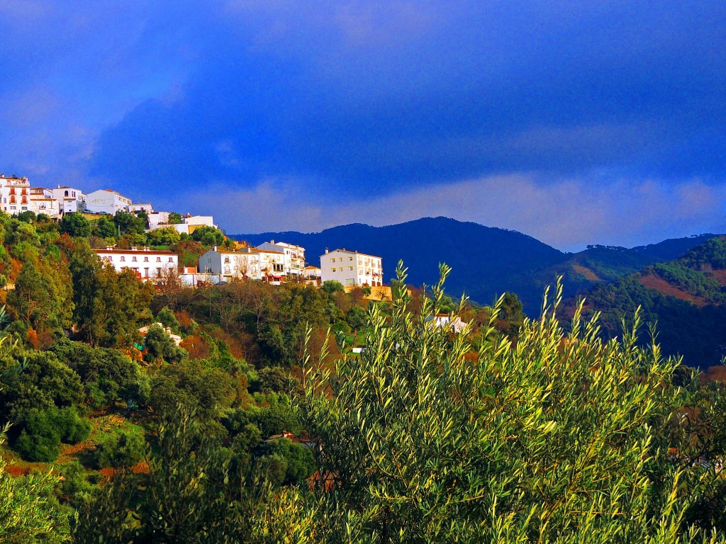 Foto de Jubrique (Málaga), España