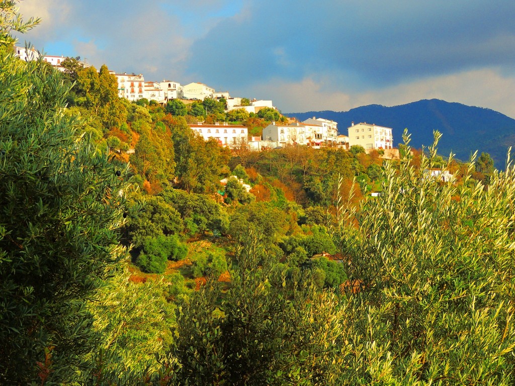 Foto de Jubrique (Málaga), España