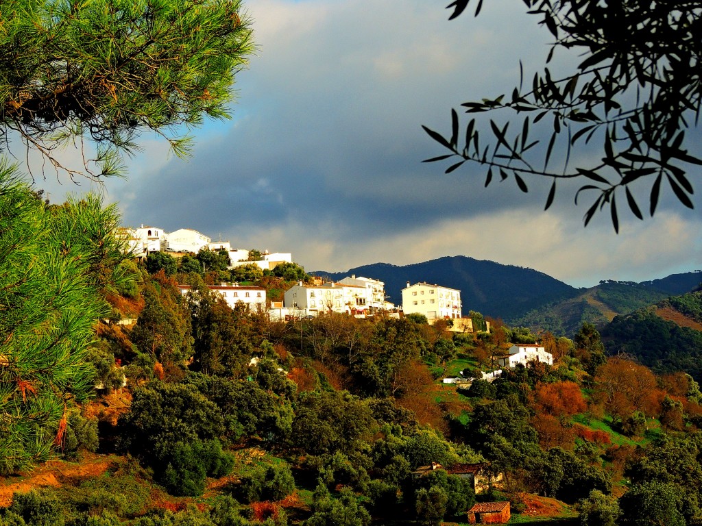 Foto de Jubrique (Málaga), España