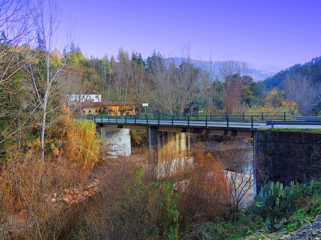 Foto: Puente sobre el Genal - Jubrique (Málaga), España