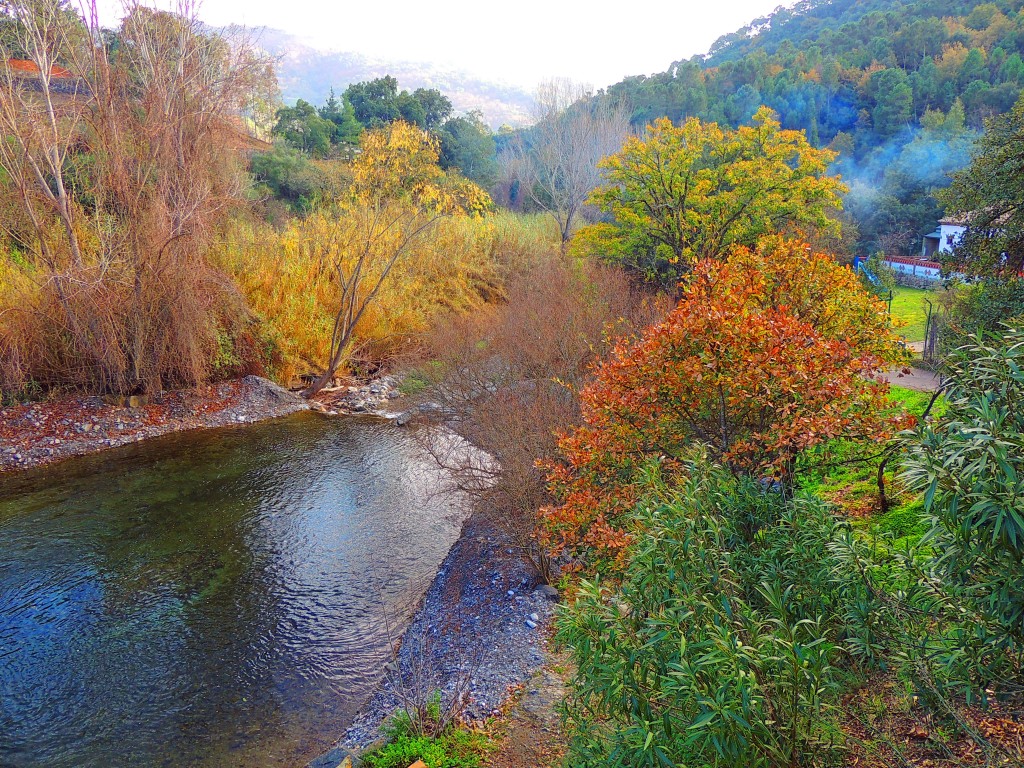 Foto: Río Genal - Jubrique (Málaga), España