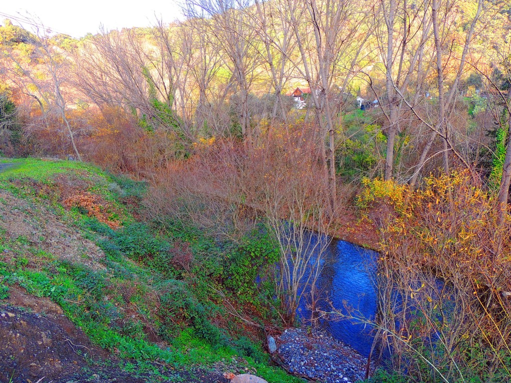 Foto: Río Genal - Jubrique (Málaga), España