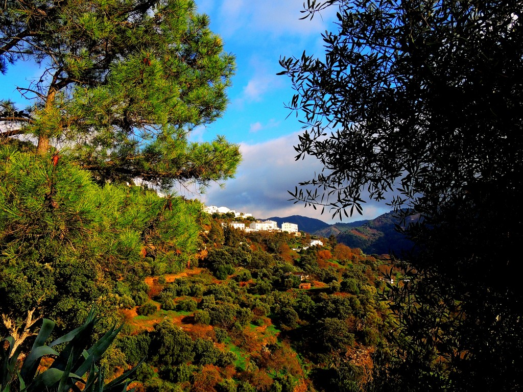 Foto de Jubrique (Málaga), España
