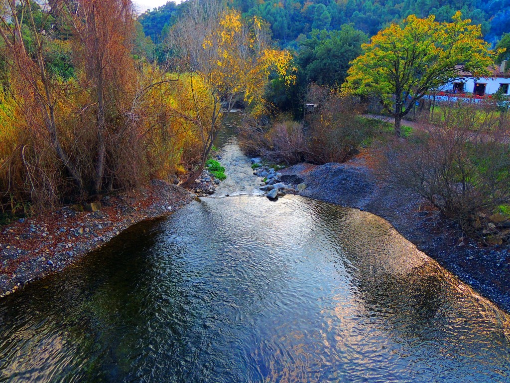 Foto: Río Genal - Jubrique (Málaga), España