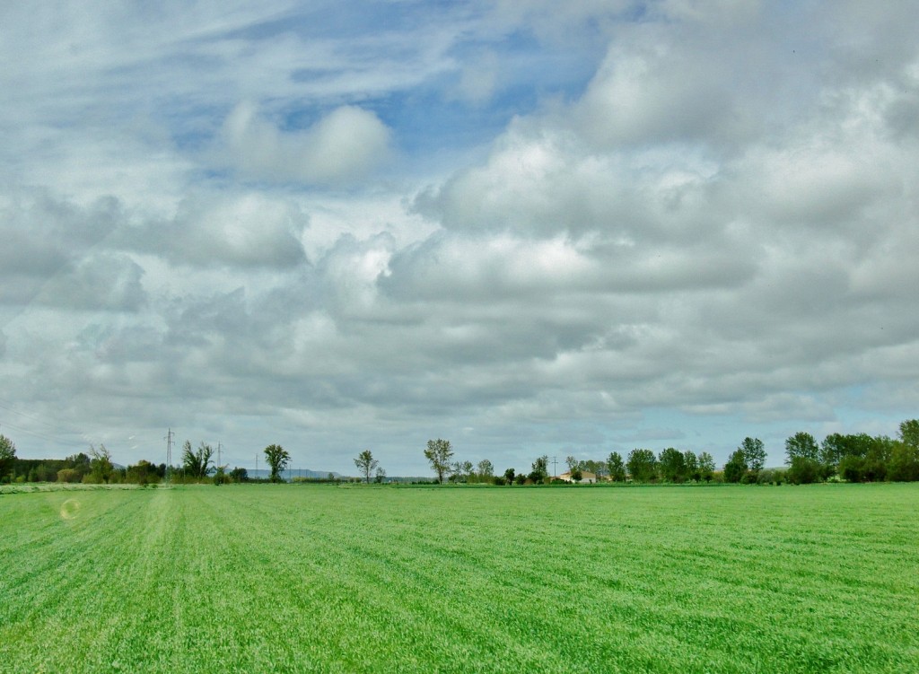 Foto: Vistas desde el pueblo - Castrojeriz (Burgos), España