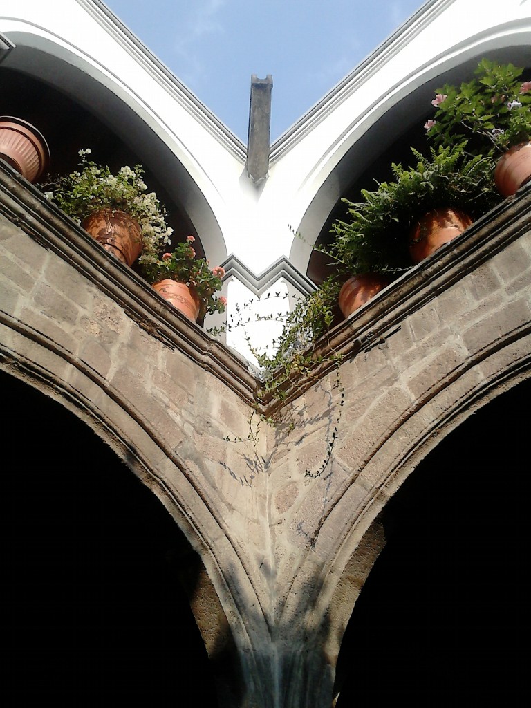 Foto: Coyoacán México DF - Coyoacán (The Federal District), México