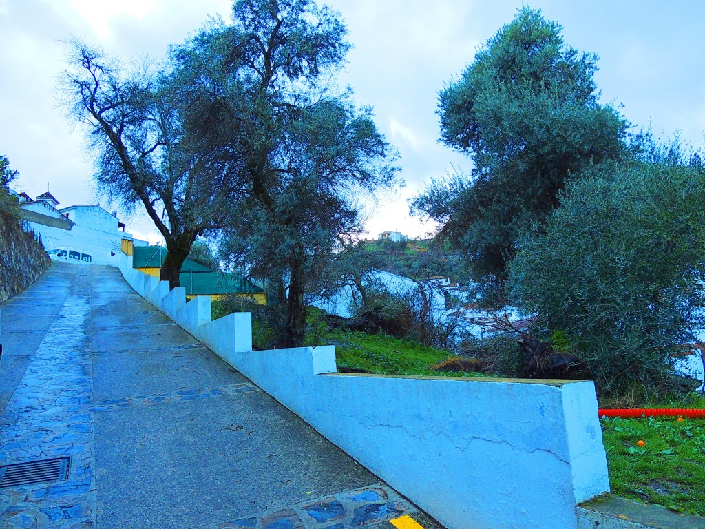 Foto: Paseo del Prado - Benarraba (Málaga), España